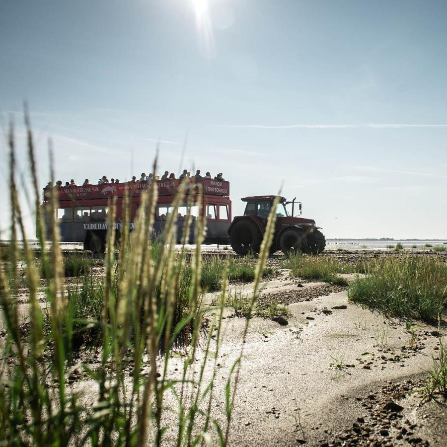 Lustrup Farmhouse 里伯 外观 照片